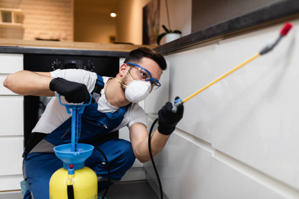 Best Pest Inspection Near Me  in Coats Bend, AL