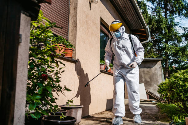 Best Pest Control Near Me in Coats Bend, AL