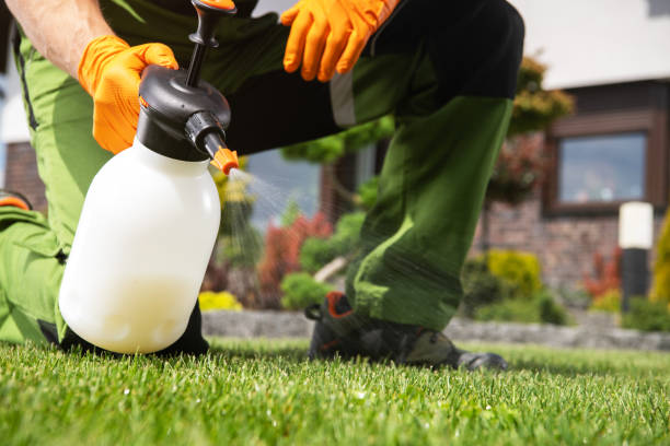 Best Best Pest Control Companies  in Coats Bend, AL