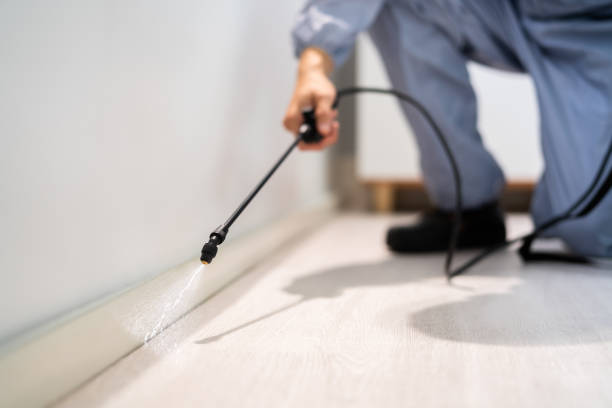 Pest Control Cost in Coats Bend, AL