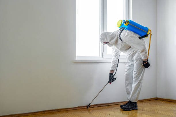 Best Wildlife Control Services  in Coats Bend, AL