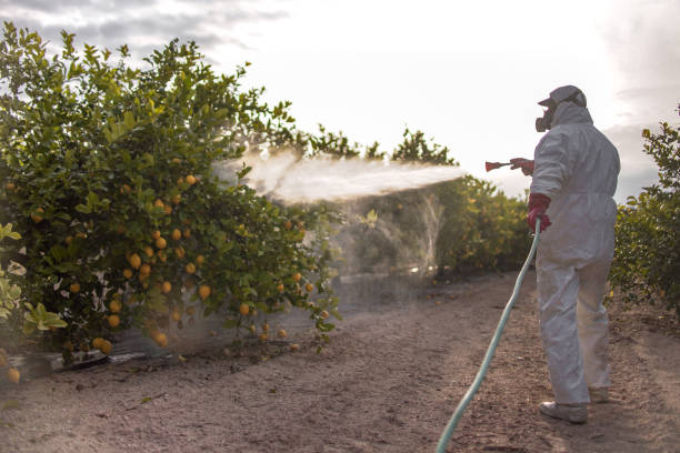 Best Pest Control Cost  in Coats Bend, AL