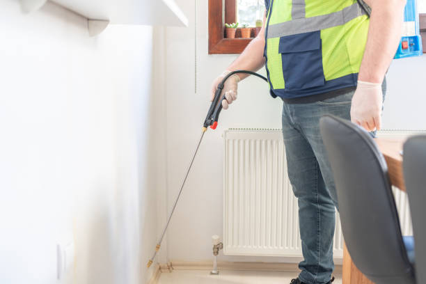 Best Local Pest Control Services  in Coats Bend, AL