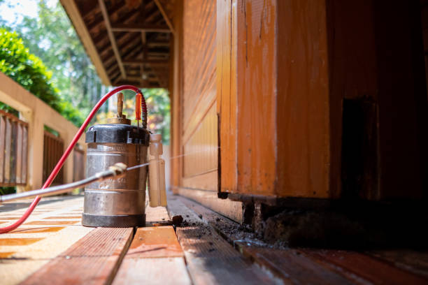Wasp Removal Services in Coats Bend, AL