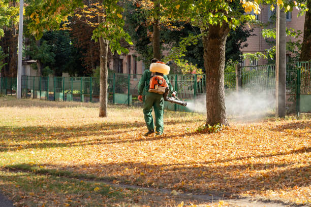 Best Ant Control Services  in Coats Bend, AL