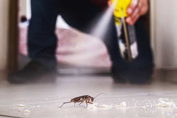 Best Exterminator Services  in Coats Bend, AL