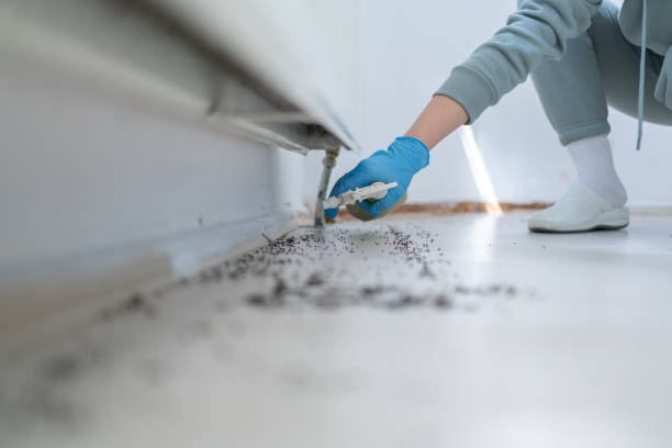 Coats Bend, AL Pest Control Company