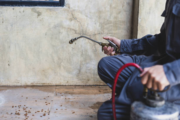 Best Flea Control Services  in Coats Bend, AL